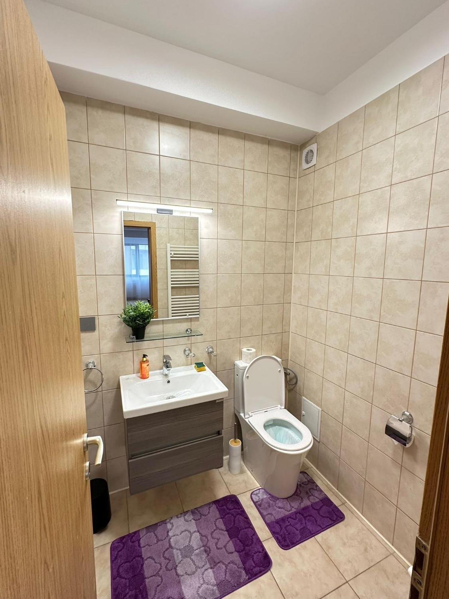 Centru Unirii Luxury Vip Palmier Apartament 2 Camere Cu Terasa Exterioara Amenajata ! Parcare Subterana Privata Climatizata Si Supravegheata Video Dar Doar Cu Rezervare In Limita Locurilor Disponibile !Proprietate In Regim Hoteliep - Nu Are Bucatarie Bukarest Exterior foto
